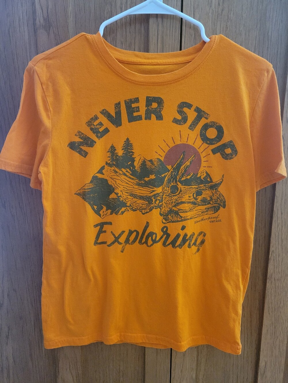 Weatherproof Vintage Boys Dinosaur T-shirt. Size Large 14-16